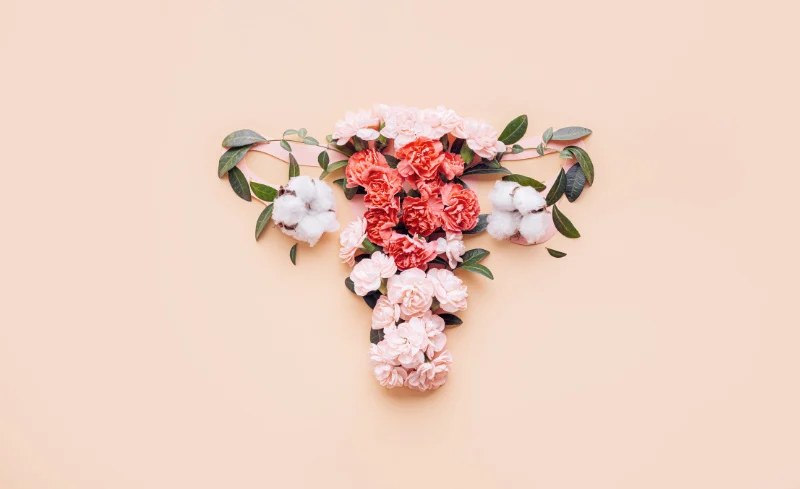 Acupuncture for Menopause flowers arranged in the shape of a uterus and ovaries